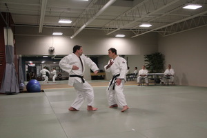 Jujitsu Ann Arbor